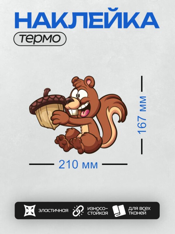 Термонаклейка на одежду DTF / Весёлая мультяшная белка грызёт орех.