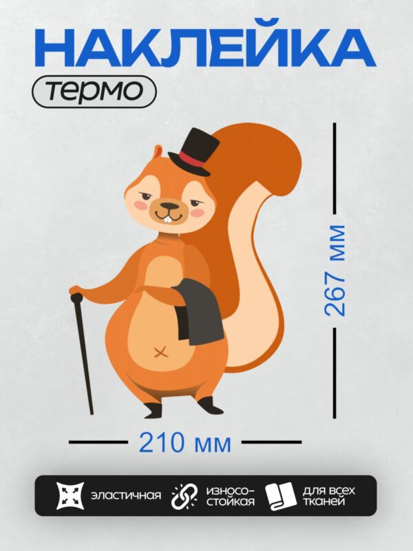 Термонаклейка на одежду DTF / Мультяшная белка в цилиндре с тростью.