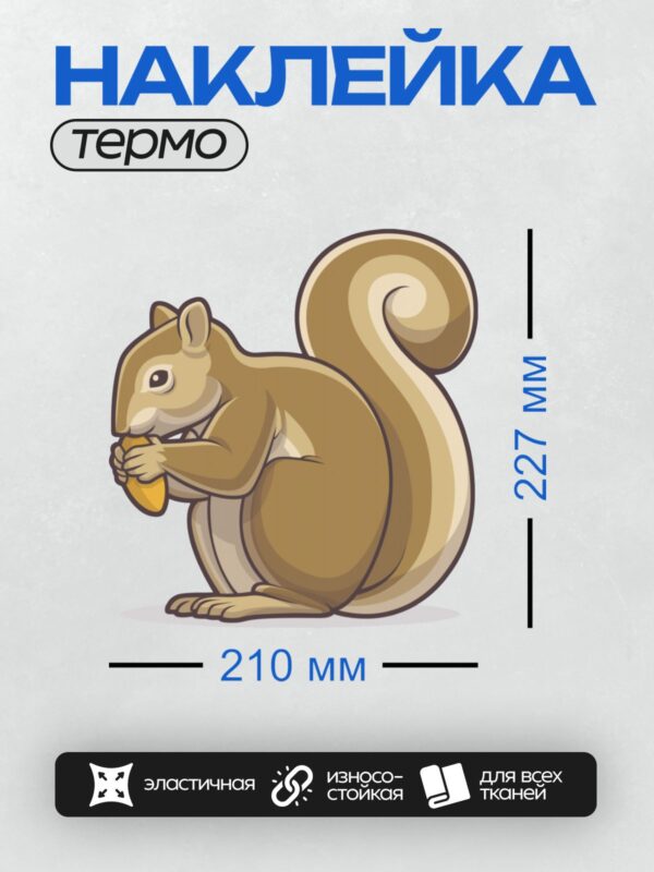 Термонаклейка на одежду DTF / Мультяшная белка с орехом в лапках.
