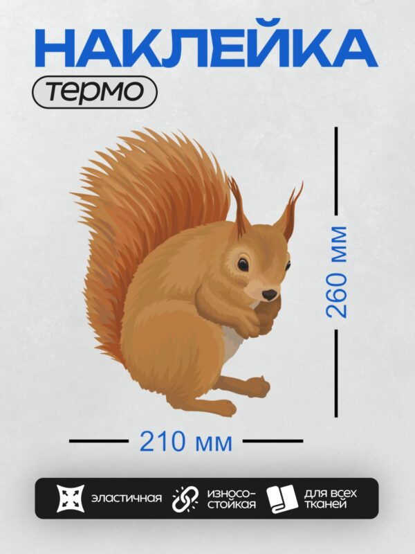 Термонаклейка на одежду DTF / Рыжая белка с пушистым хвостом и большими глазами.