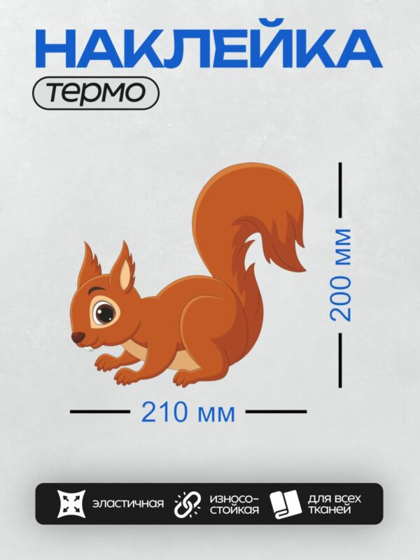 Термонаклейка на одежду DTF / Мультяшная белка с пушистым хвостом и большими глазами.