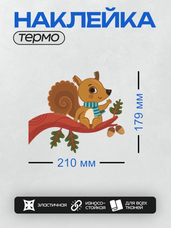 Термонаклейка на одежду DTF / Белка в шарфе сидит на ветке с желудями.