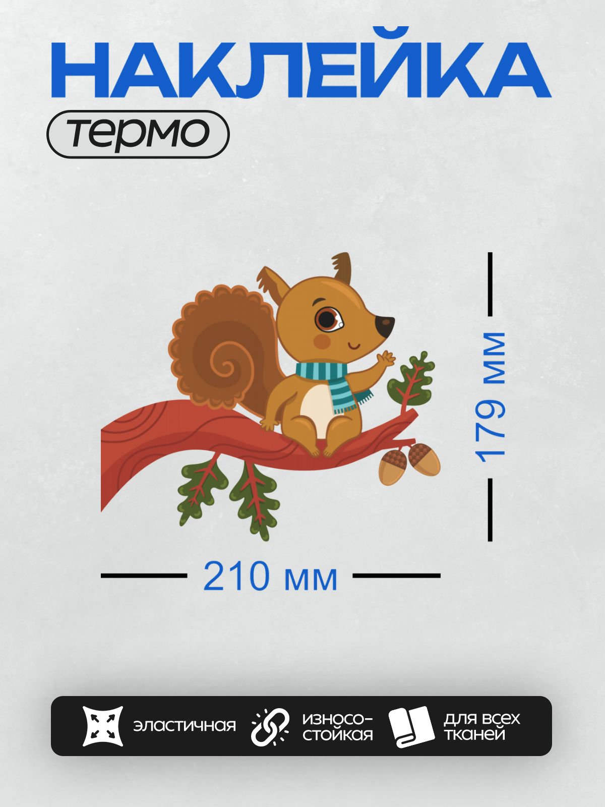 Термонаклейка на одежду DTF / Белка в шарфе сидит на ветке с желудями.