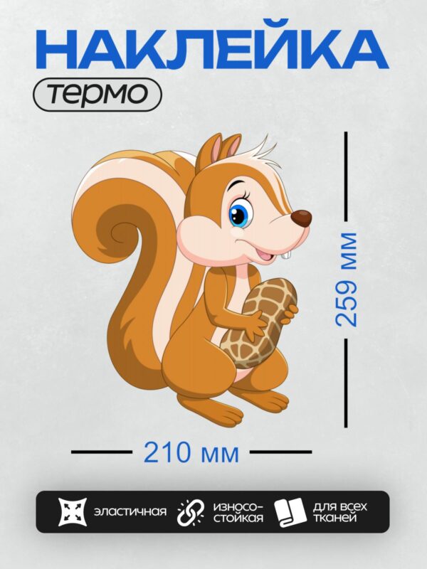 Термонаклейка на одежду DTF / Мультяшная белка с орехом в лапках.