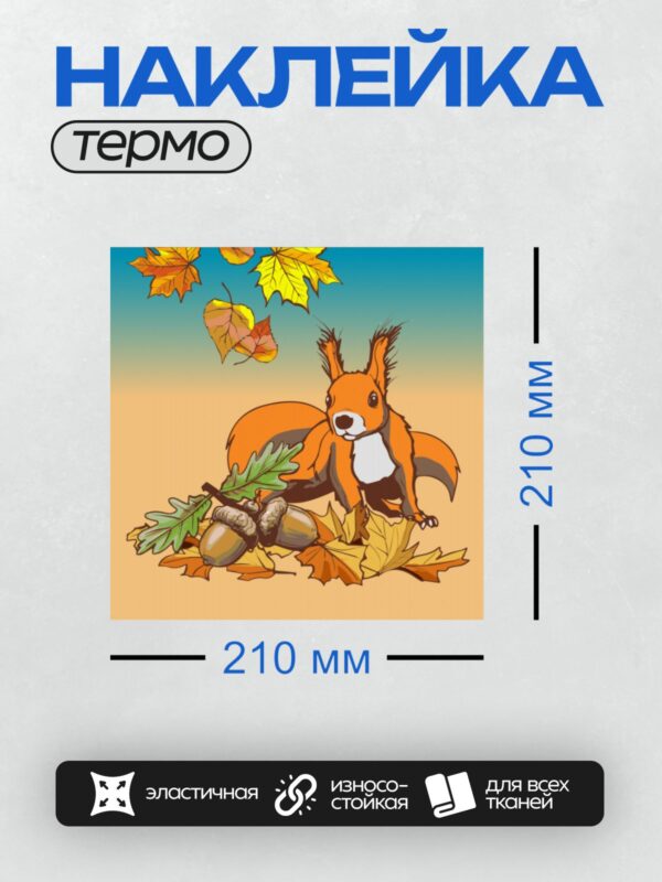 Термонаклейка на одежду DTF / Мультяшная белка среди осенних листьев и желудей.