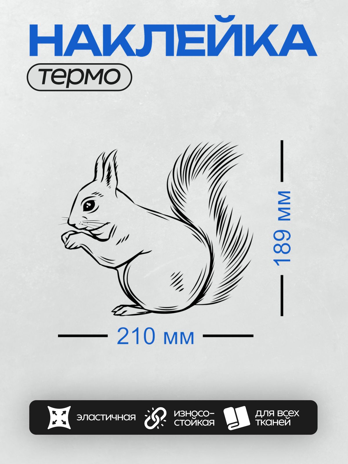 Термонаклейка на одежду DTF / Черно-белая белка с пушистым хвостом и орехом.
