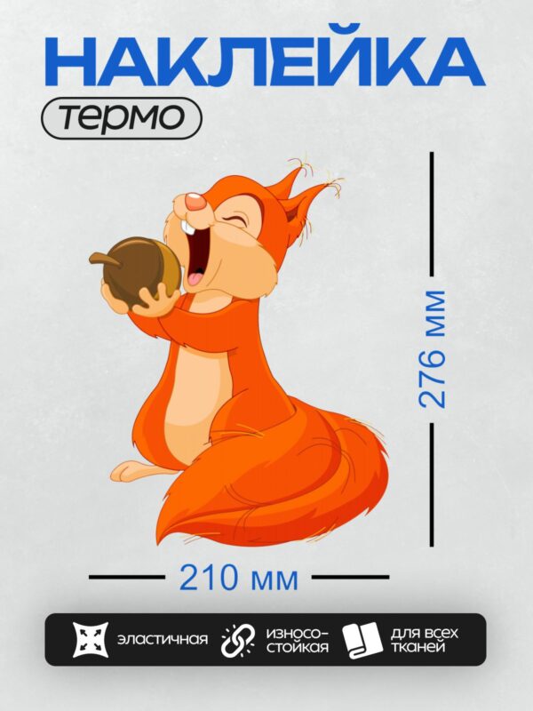 Термонаклейка на одежду DTF / Мультяшная белка с орехом, ярко-оранжевая, веселая.