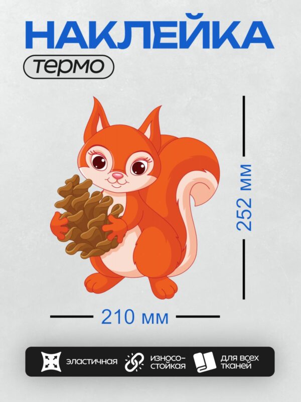Термонаклейка на одежду DTF / Мультяшная белка с шишкой в лапках.