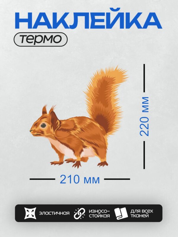 Термонаклейка на одежду DTF / Мультяшная белка с пушистым хвостом и большими глазами.