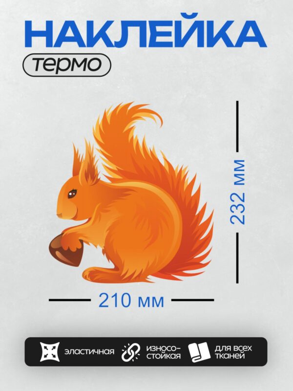 Термонаклейка на одежду DTF / Мультяшная рыжая белка с пушистым хвостом и орехом.
