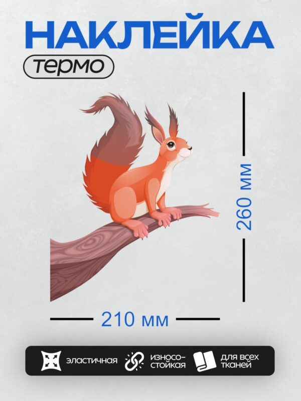 Термонаклейка на одежду DTF / Мультяшная белка с пушистым хвостом на ветке.