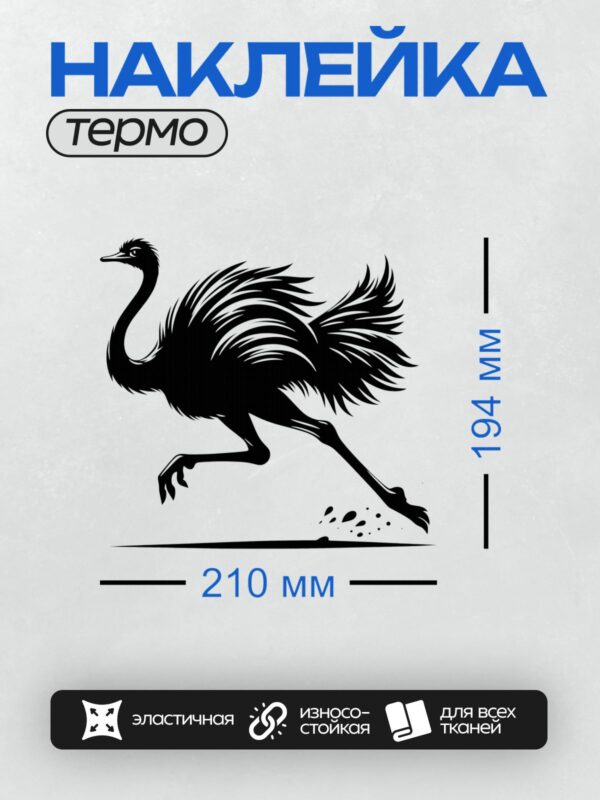 Термонаклейка на одежду DTF / Черный страус в движении на белом фоне.