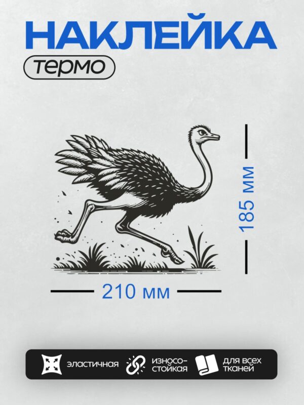 Термонаклейка на одежду DTF / Страус эму бежит по траве, изображён в движении.