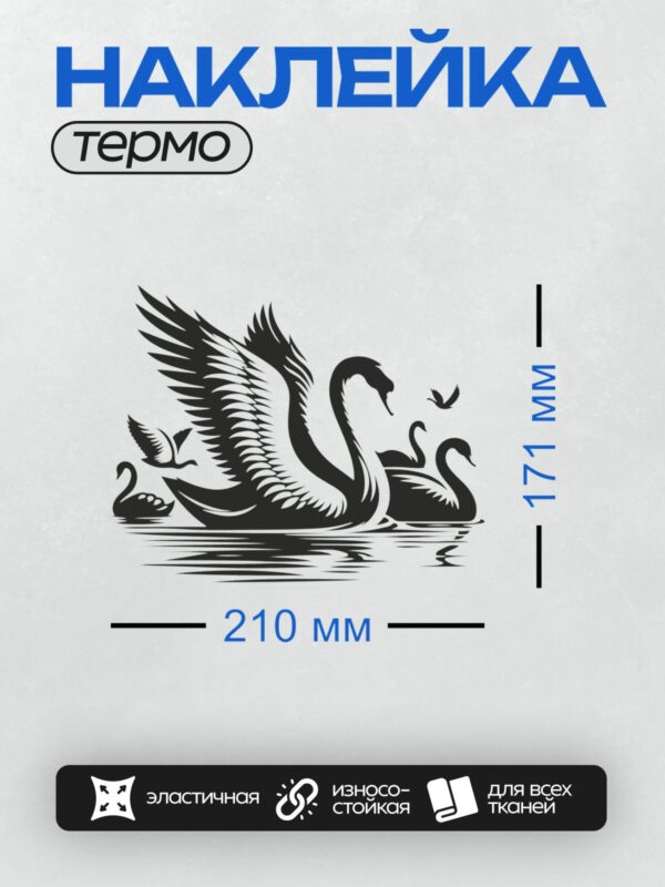 Термонаклейка на одежду DTF / Лебедь с расправленными крыльями на воде.