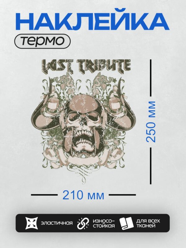 Термонаклейка на одежду DTF / Череп в шлеме с рогами, надпись "Last Tribute", цветочный узор.