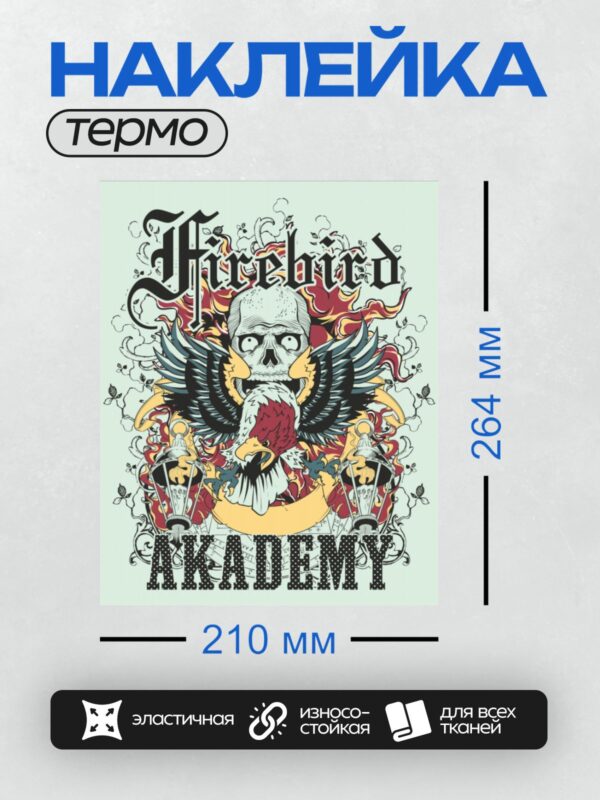 Термонаклейка на одежду DTF / Череп с крыльями, маска самурая, яркие цвета, надпись "Firebird Academy".