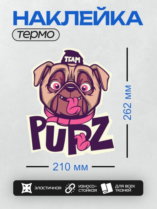 Термонаклейка на одежду DTF / Мультяшный мопс в шапке с надписью "TEAM" и текстом "PUPZ".