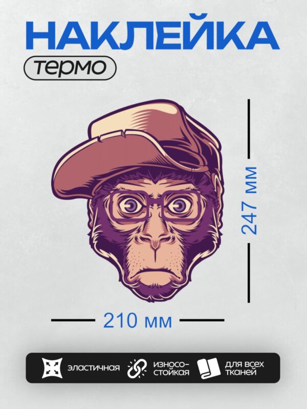 Термонаклейка на одежду DTF / Обезьяна в очках и бейсболке, стилизованный рисунок.