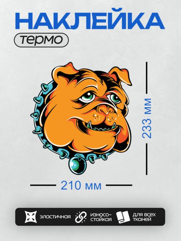 Термонаклейка на одежду DTF / Мультяшный бульдог с ошейником и зелёными глазами.