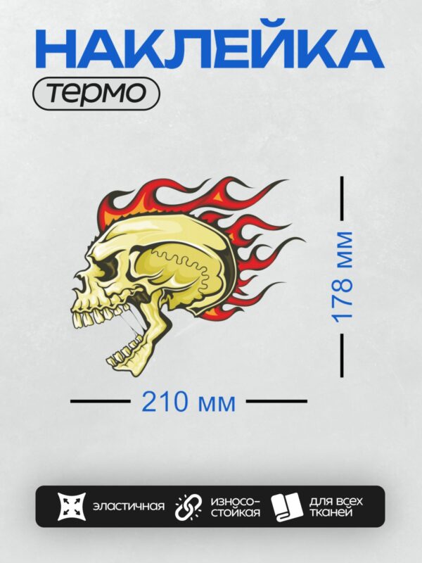 Термонаклейка на одежду DTF / Мультяшный череп, окружённый ярким пламенем.