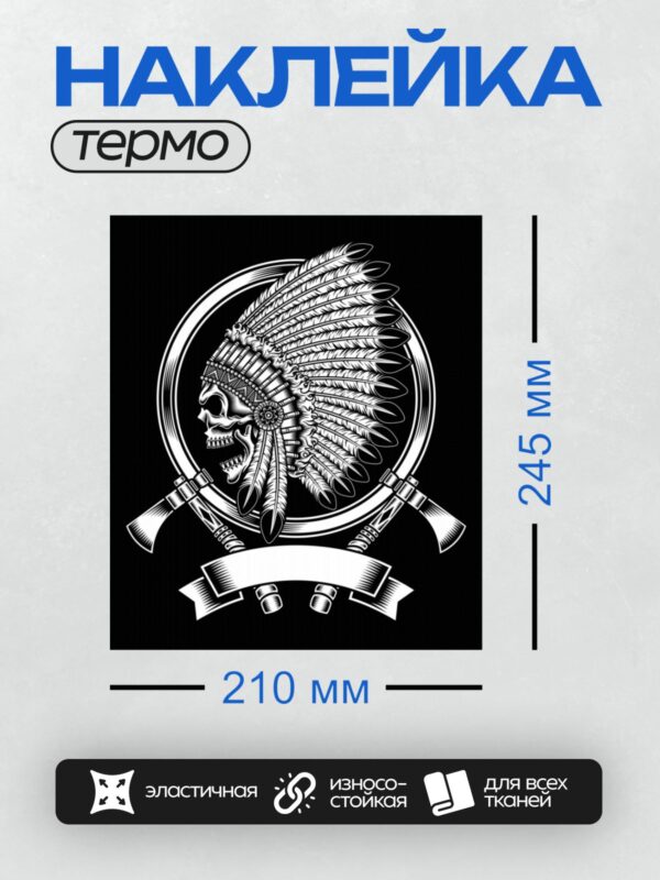Термонаклейка на одежду DTF / Череп в индейском головном уборе с перьями.