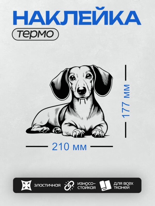 Термонаклейка на одежду DTF / Такса, лежащая на животе, в стиле карандашного рисунка.
