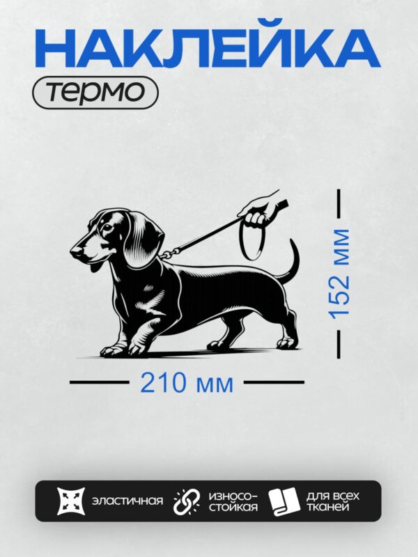 Термонаклейка на одежду DTF / Черно-белая такса в графическом стиле.