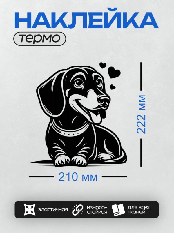 Термонаклейка на одежду DTF / Черно-белая такса с сердечками в стиле граффити.