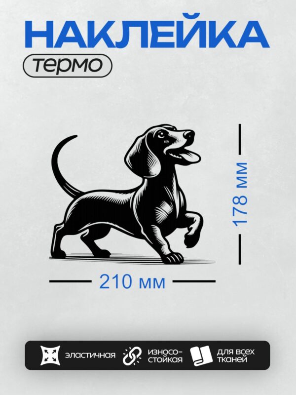 Термонаклейка на одежду DTF / Черно-белая такса в динамичной позе, графический стиль.