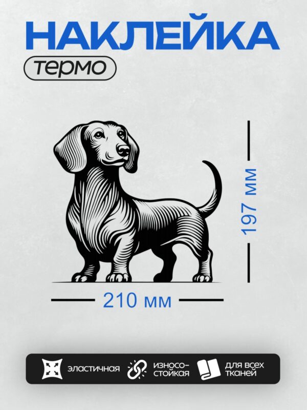 Термонаклейка на одежду DTF / Графическая такса в черно-белом стиле.
