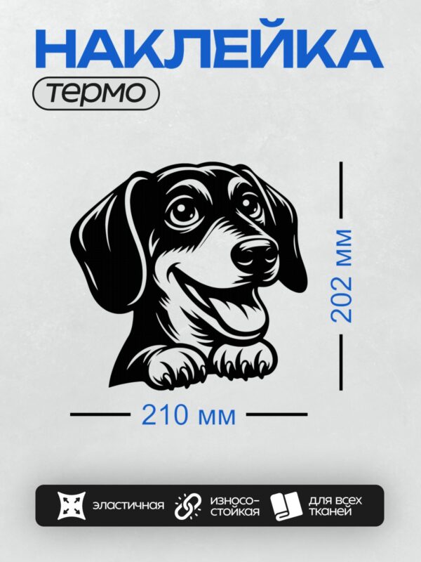 Термонаклейка на одежду DTF / Черно-белая такса в стиле граффити.