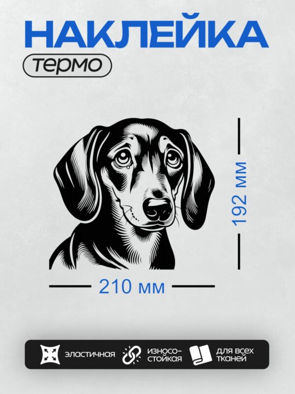 Термонаклейка на одежду DTF / Черно-белая такса с выразительными глазами и длинными ушами.