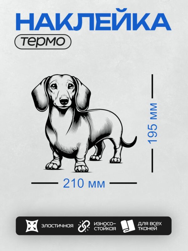 Термонаклейка на одежду DTF / Такса в стиле гравюры: изящная и детализированная.