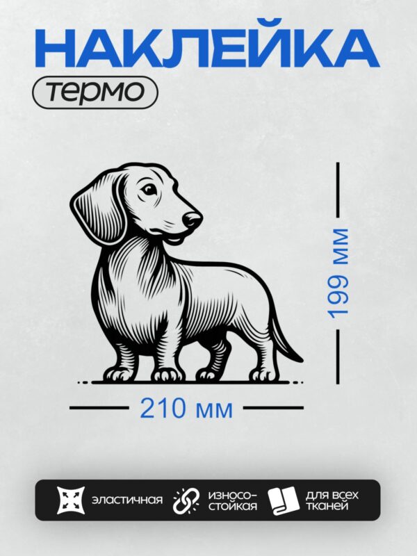 Термонаклейка на одежду DTF / Черно-белая такса в графическом стиле, минималистичный рисунок.