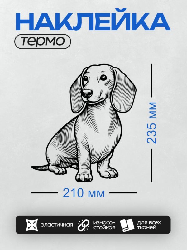 Термонаклейка на одежду DTF / Черно-белая такса в графическом стиле, сидящая в профиль.