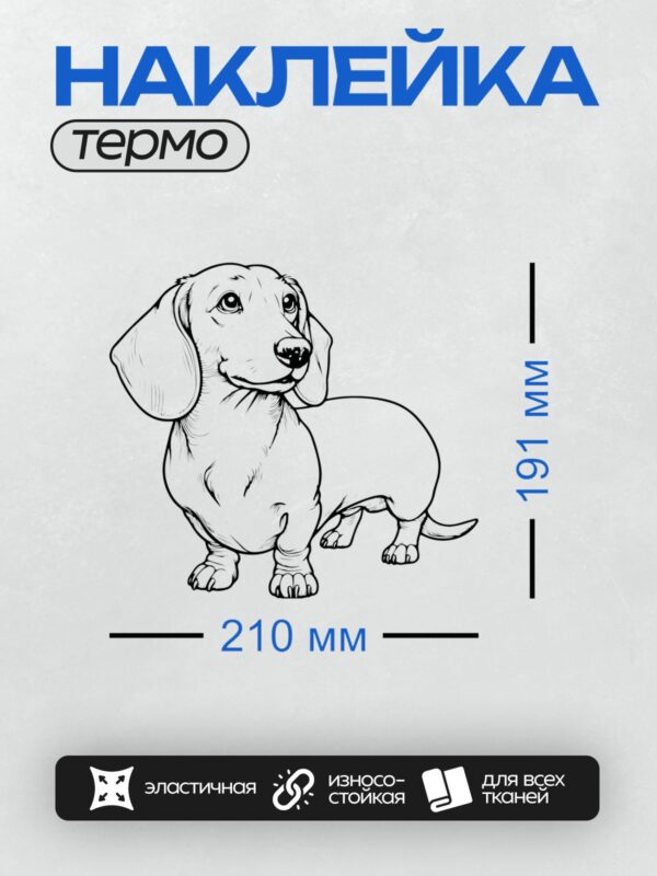 Термонаклейка на одежду DTF / Черно-белая такса в стиле граффити, с четкими линиями и выразительным взглядом.