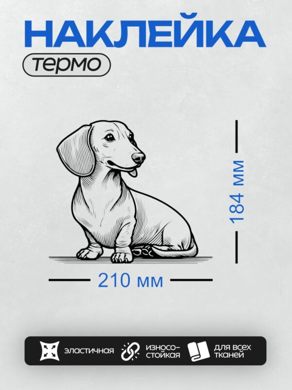 Термонаклейка на одежду DTF / Такса, сидящая в профиль, с длинными ушами.