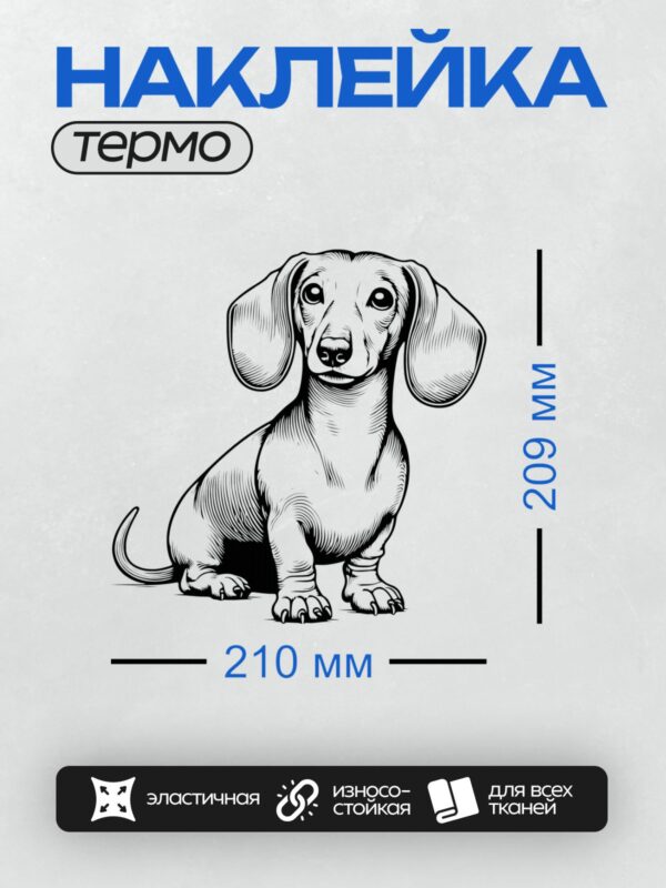 Термонаклейка на одежду DTF / Черно-белая такса, стилизованный рисунок в графическом стиле.