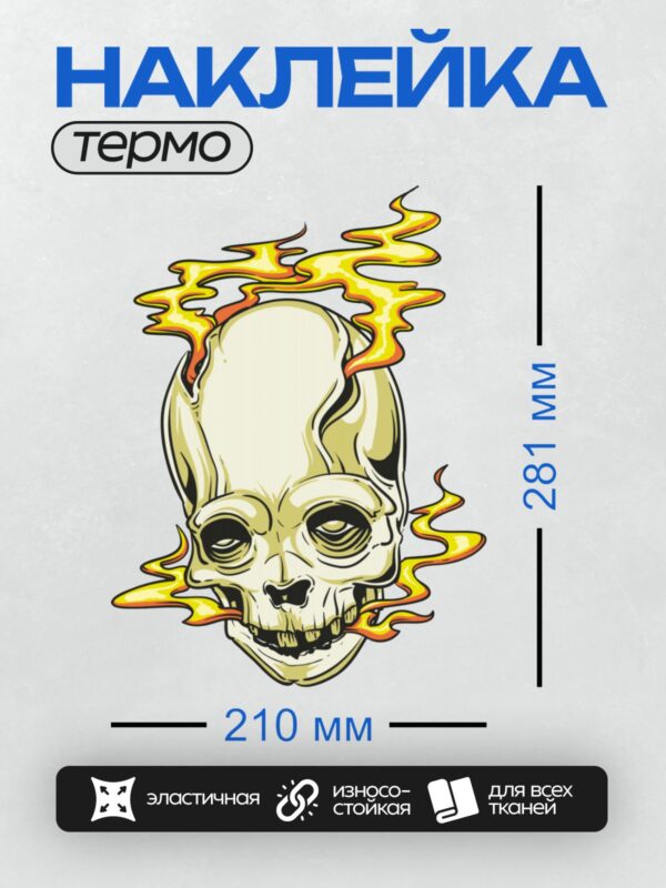 Термонаклейка на одежду DTF / Мультяшный череп, окружённый ярким огненным пламенем.