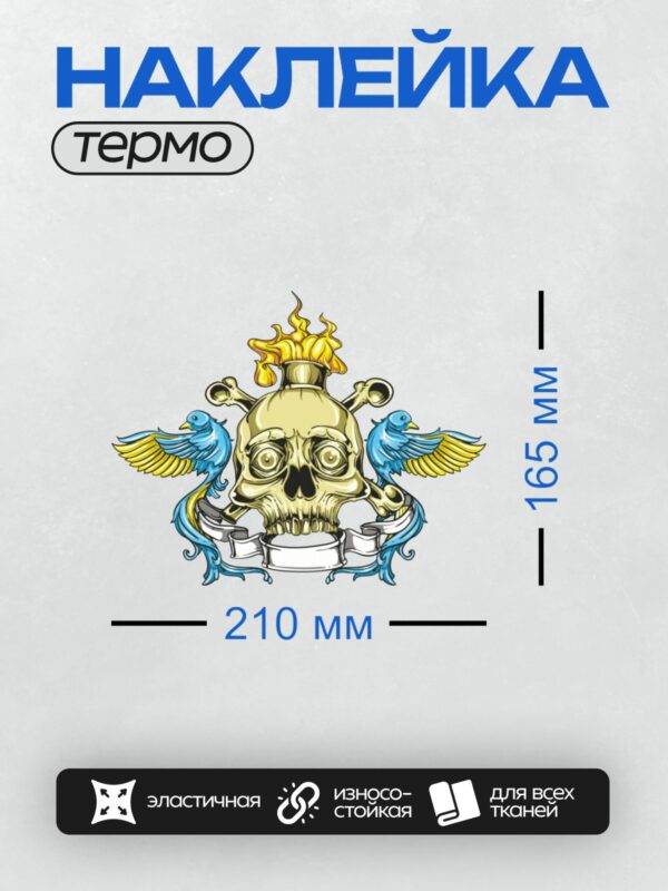 Термонаклейка на одежду DTF / Череп с пламенем, голубыми птицами и костями.