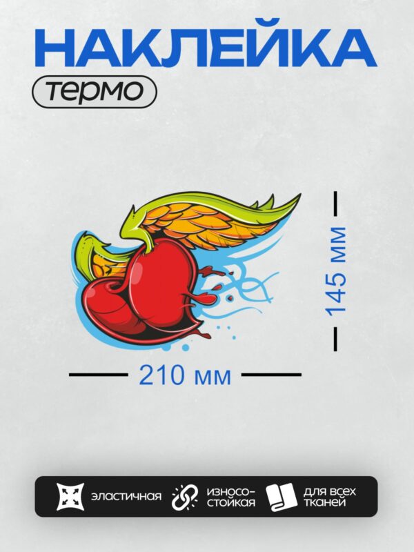 Термонаклейка на одежду DTF / Красное сердце с крыльями, яркими цветами и каплями.