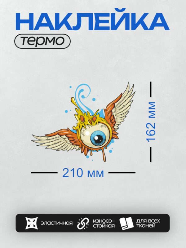 Термонаклейка на одежду DTF / Глаз с крыльями, окружённый яркими цветами и завитками.