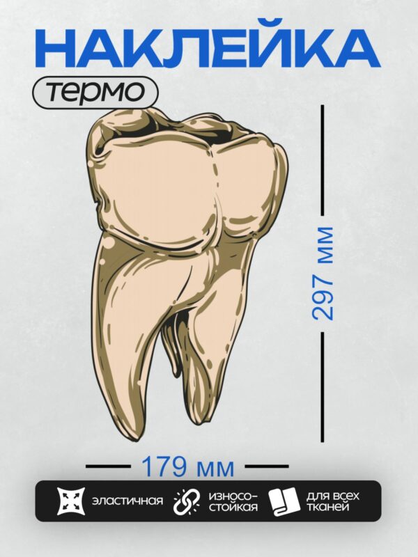 Термонаклейка на одежду DTF / Изображение зуба с корнями и коронкой.