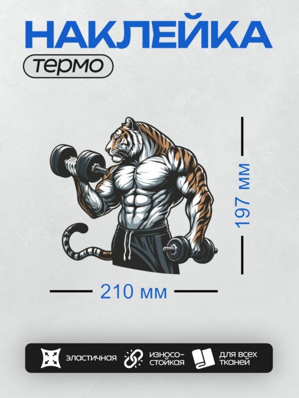 Термонаклейка на одежду DTF / Мускулистый тигр с гантелями, стиль бодибилдинга.