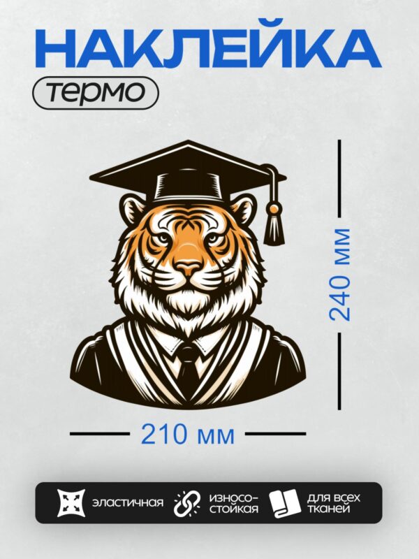Термонаклейка на одежду DTF / Мультяшный тигр в академической шапочке и мантии.