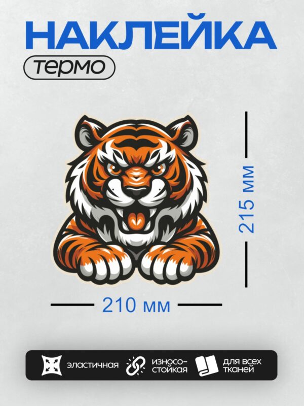 Термонаклейка на одежду DTF / Мультяшный тигр с яркими полосами и большими глазами.
