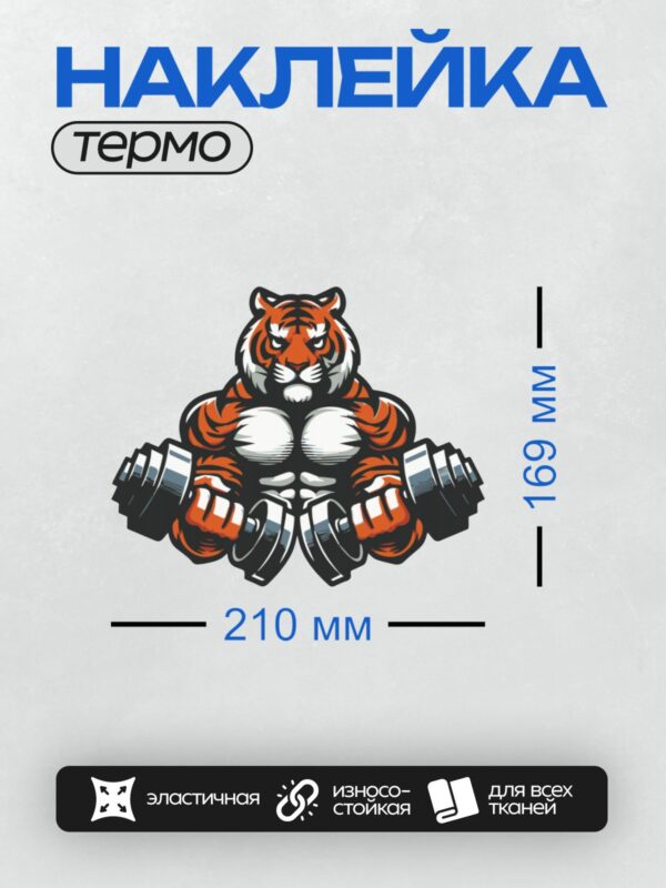 Термонаклейка на одежду DTF / Мускулистый тигр с гантелями, стилизованный рисунок.