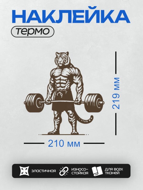 Термонаклейка на одежду DTF / Мускулистый тигр с гантелями, агрессивный оскал.