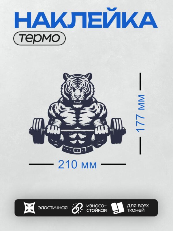 Термонаклейка на одежду DTF / Мускулистый тигр с гантелями, стилизованный рисунок.