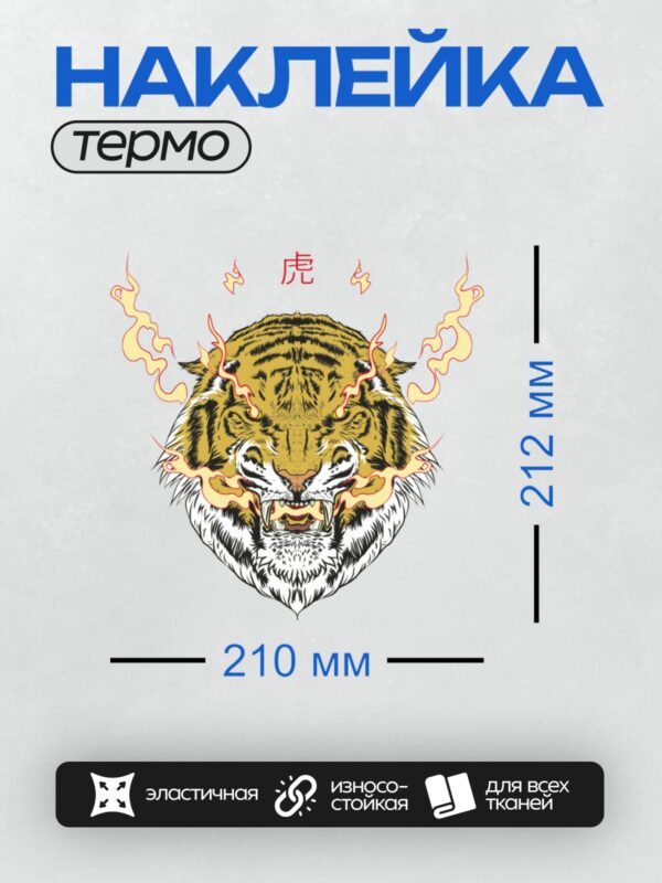 Термонаклейка на одежду DTF / Тигр с пламенем и китайским иероглифом "气" (энергия).